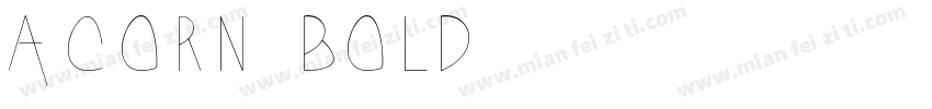 Acorn Bold字体转换